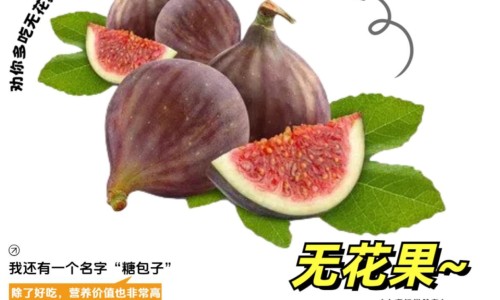 云芝的功效与副作用及禁忌-【云芝的功效与食用方法】云芝的功效与副作用是什么 - 云芝的功效与副作用网