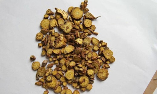 云芝蘑的功效与用途-【云芝的功效与食用方法】云芝的功效与副作用是什么 - 云芝的功效与副作用网
