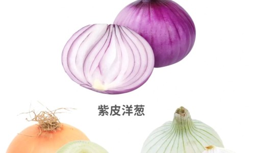 云芝的药用价值和功效-【云芝的功效与食用方法】云芝的功效与副作用是什么 - 云芝的功效与副作用网