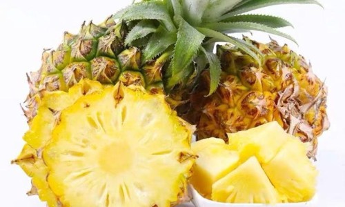 云芝的药用价值和功效-【云芝的功效与食用方法】云芝的功效与副作用是什么 - 云芝的功效与副作用网